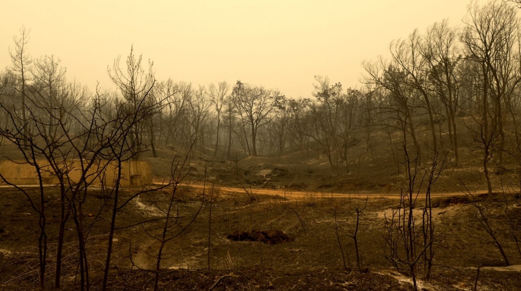 Καμένες εκτάσεις στον Έβρο