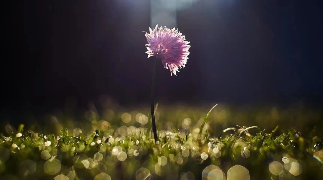 Εορτολόγιο: Σήμερα, 6 Σεπτεμβρίου 2023 γιορτάζει…