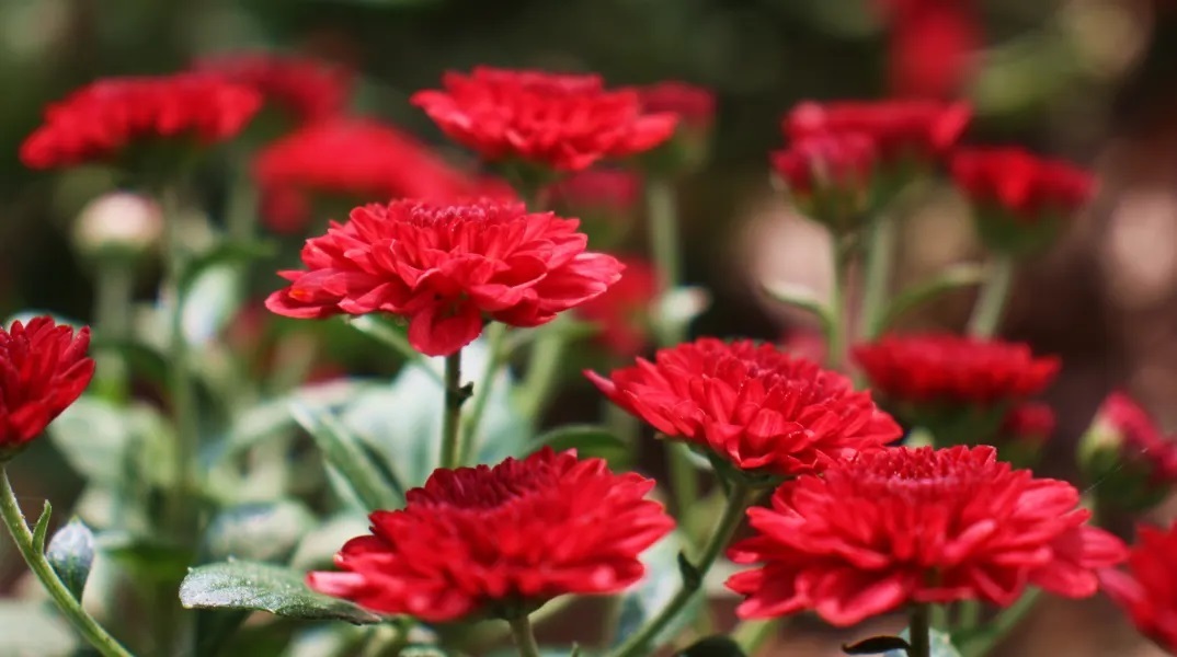 Εορτολόγιο: Σήμερα 8 Σεπτεμβρίου 2023 γιορτάζει…