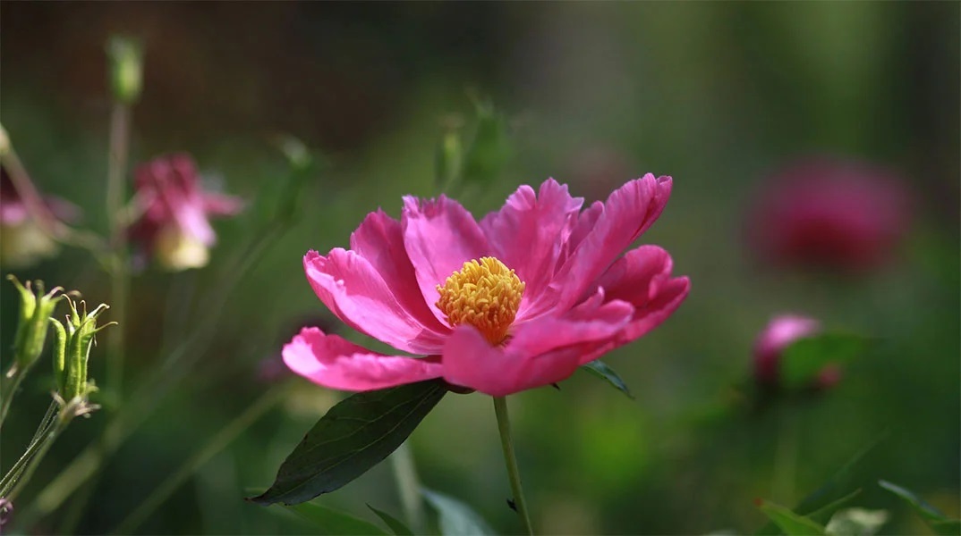 Εορτολόγιο: Σήμερα 10 Σεπτεμβρίου 2023 γιορτάζει…