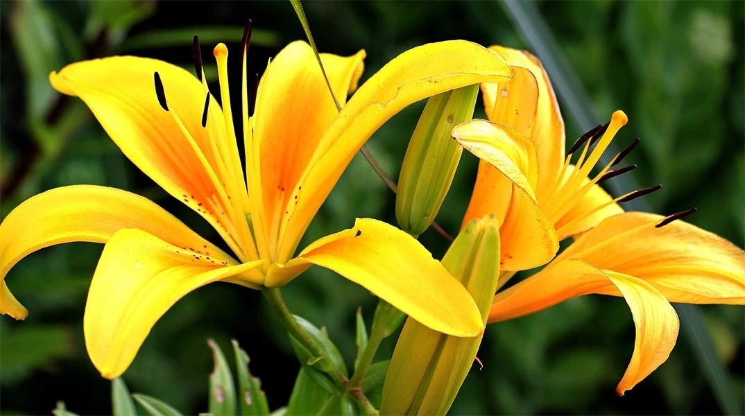 Εορτολόγιο: Σήμερα 15 Σεπτεμβρίου 2023 γιορτάζει… 