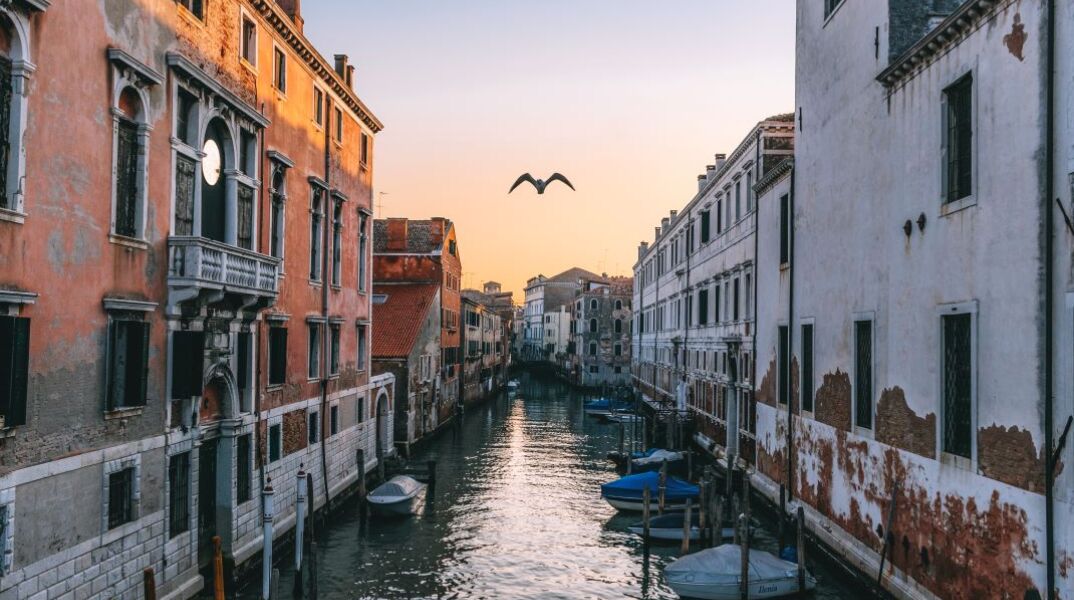 © Federico Beccari/ Unsplash