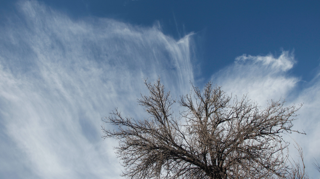 Σύννεφα πίσω από δέντρο