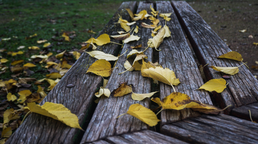 Φύλλα πάνω σε παγκάκι