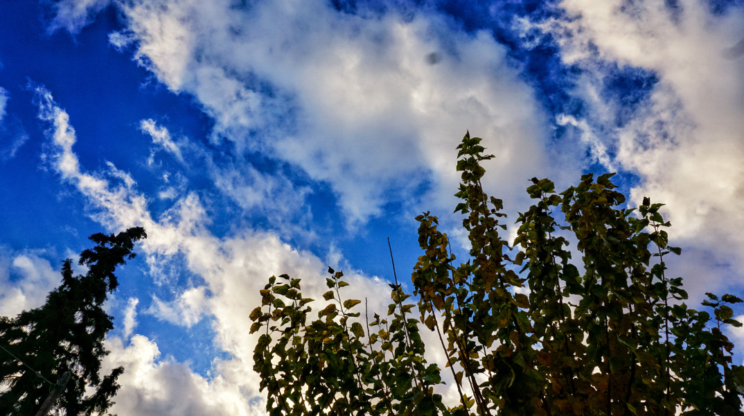 Αίθριος καιρός με λίγα σύννεφα