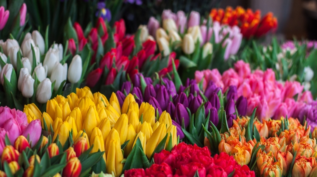 Εορτολόγιο: Σήμερα 27 Οκτωβρίου 2023 