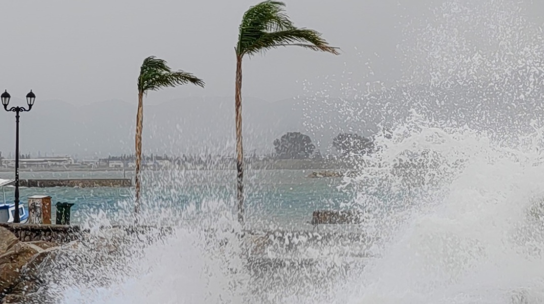 Φοίνικες και κύματα στην προκυμαία στην Αργολίδα δείχνουν το πόσο ισχυροί είναι οι άνεμοι που πνέουν στην περιοχή