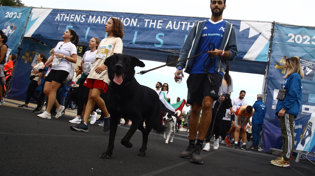 Στιγμιότυπο από το αγώνα των 5 χλμ στο πλαίσιο του 40ου Αυθεντικού Μαραθωνίου Αθήνας