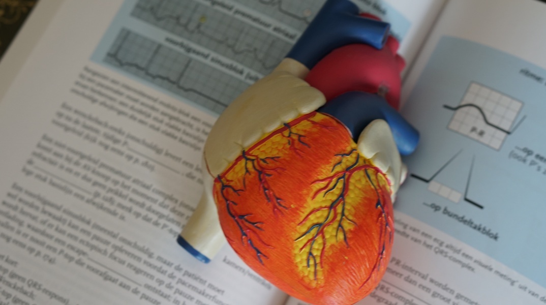 20 απλά βήματα για μια πιο υγιή καρδιά προτείνουν οι καρδιολόγοι 