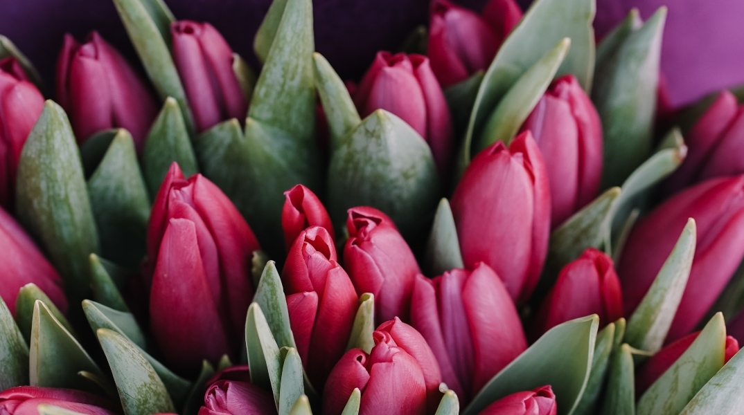 Ποιοι γιορτάζουν σήμερα 8 Δεκεμβρίου