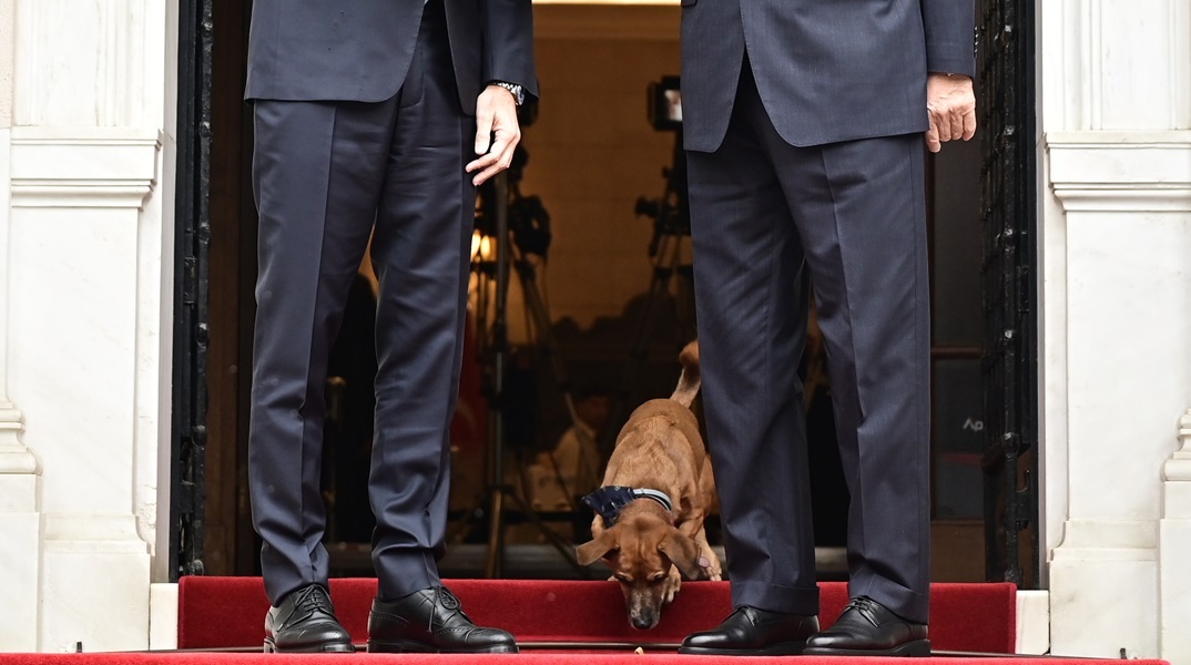 Ερντογάν στο Μαξίμου: Τον υποδέχθηκε και ο Peanut  