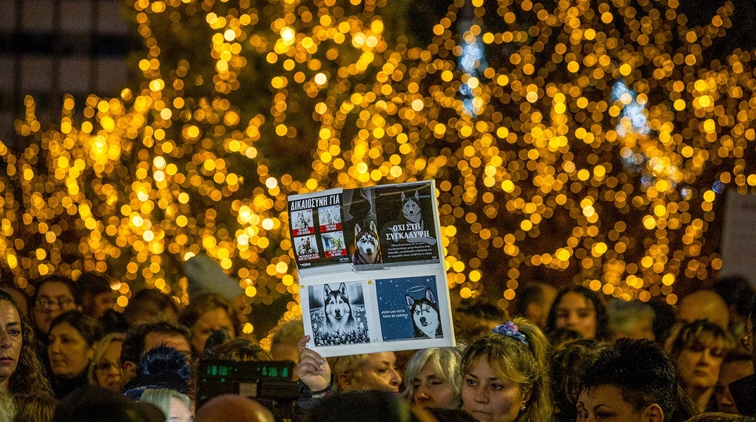 Συγκέντρωση διαμαρτυρίας στο Σύνταγμα για την κακοποίηση του «Όλιβερ» στην Αράχωβα
