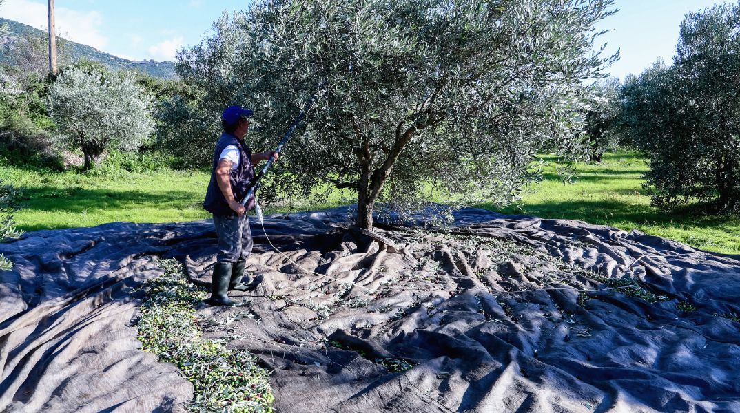 Άδεια νόμιμης εργασίας για εργάτες γης δίνει η κυβέρνηση 