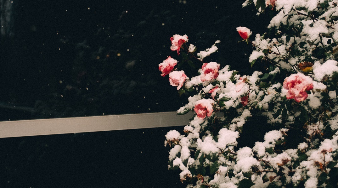 Εορτολόγιο: Σήμερα, 11 Ιανουαρίου γιορτάζει…