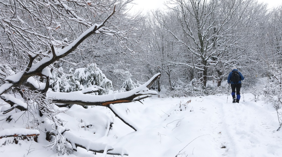 Χιόνια στον Χορτιάτη Θεσσαλονίκης και άτομο που περπατά στο χιονισμένο τοπίο
