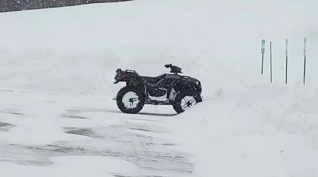 HΠΑ: Γιατρός οδήγησε γουρούνα στην χιονοθύελλα για να φτάσει σε έγκυο