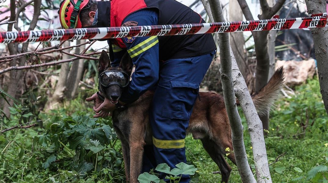 Ηράκλειο: Σκύλος της ΕΜΑΚ εντόπισε 73χρονο αγνοούμενο