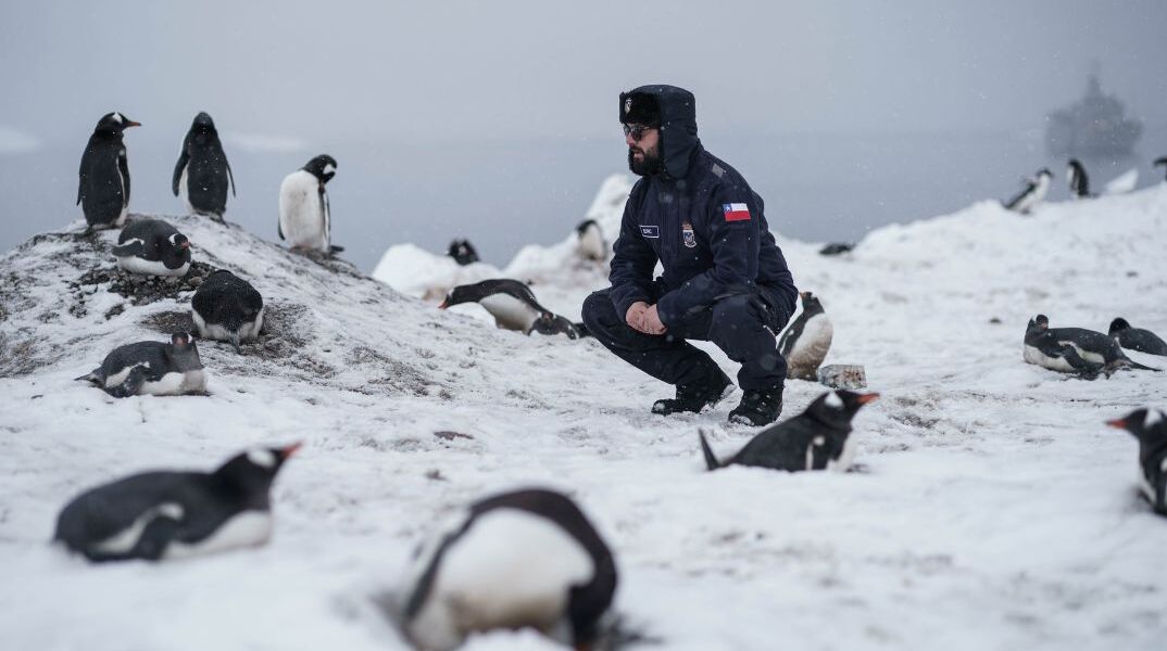 Aνταρκτική: Εντοπίστηκαν νέες αποικίες αυτοκρατορικών πιγκουίνων