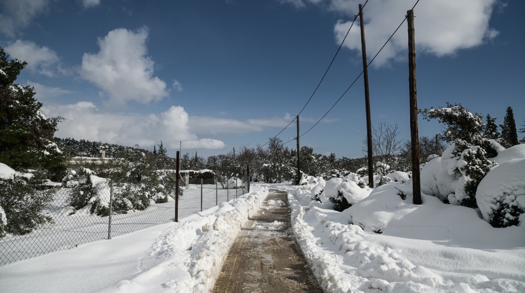 Χιονίζει στα ορεινά της Εύβοιας: Κλειστά τα σχολεία στον Δήμο Μαντουδίου – Αγίας Άννας και Λίμνης