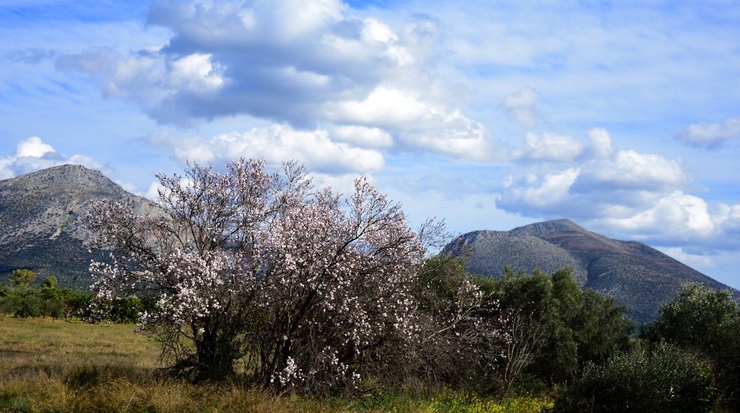 Αίθριος θα είναι ο καιρός σήμερα Κυριακή με λίγες νεφώσεις
