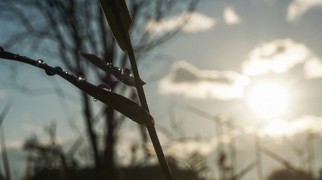 Καιρός σήμερα