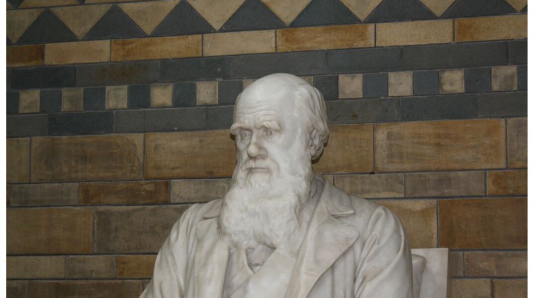 «Το Κεφάλαιο»: Το δώρο του Καρλ Μαρξ στον Δαρβίνο
