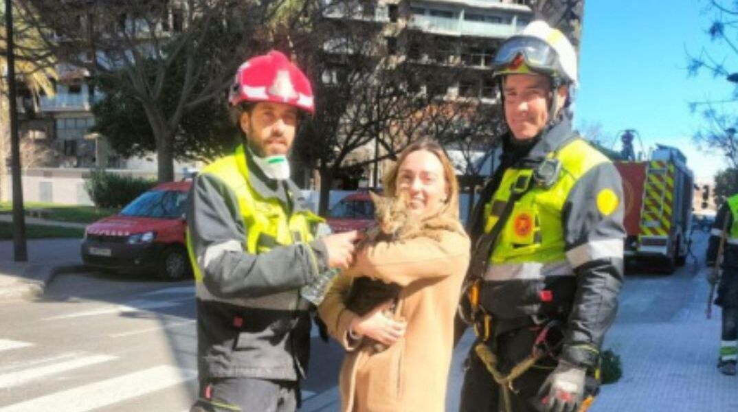 Βαλένθια: Οκτώ ημέρες μετά τη πυρκαγιά, βρέθηκε επιζών ο γάτος Κόκο