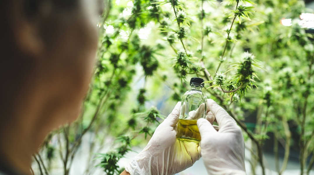 Ανακουφισμένη δηλώσει η πρώτη ασθενής που έλαβε σκεύασμα φαρμακευτικής κάνναβης - Σε ποιες περιπτώσεις χορηγείται