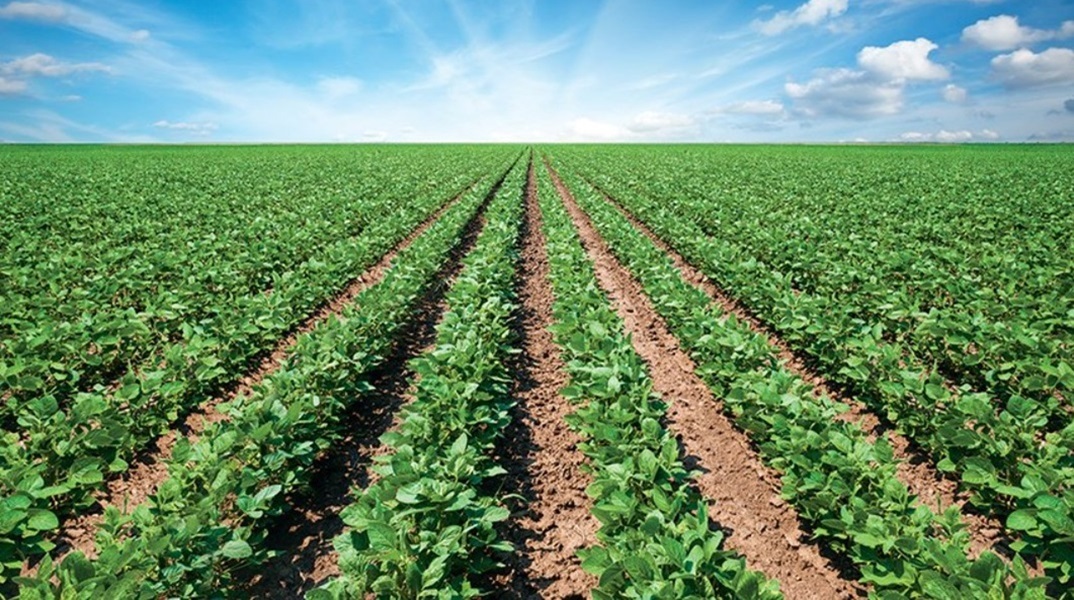 Αίνος: Τι απαντά για το πρόστιμο 