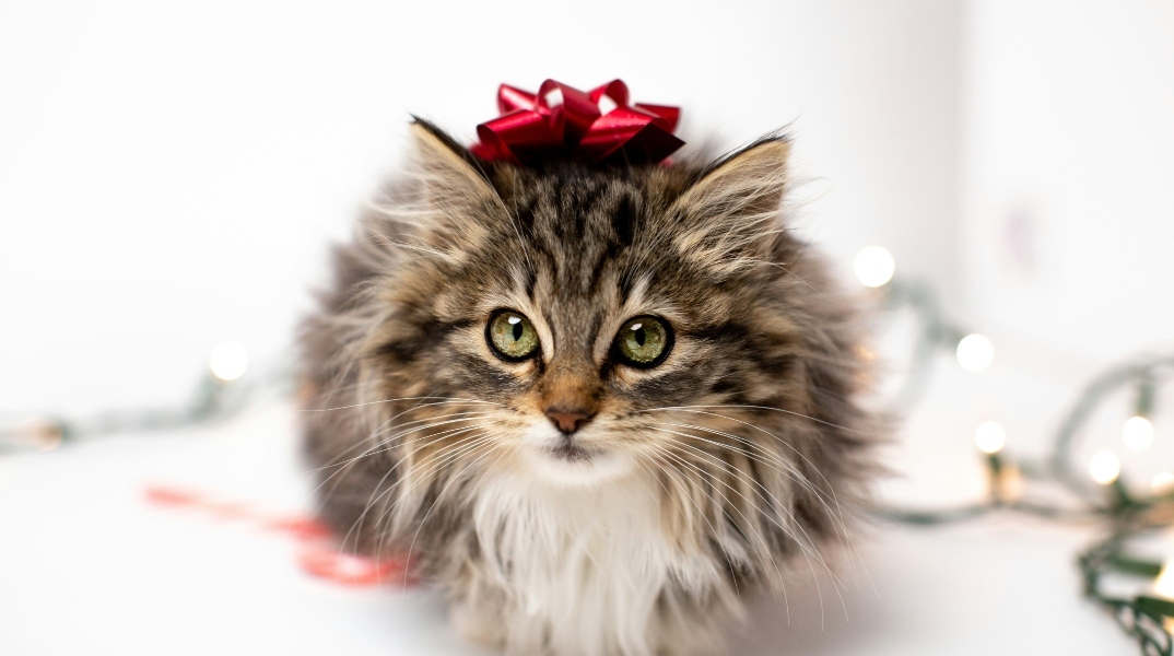 Εορτολόγιο: Σήμερα 16 Μαρτίου 2024, γιορτάζει...