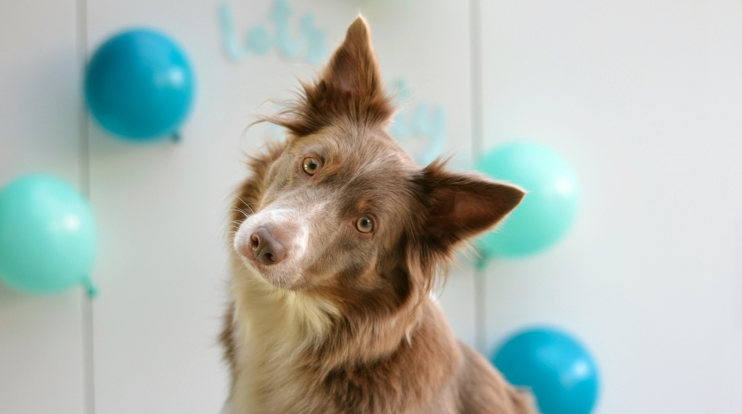 Εορτολόγιο: Σήμερα 20 Μαρτίου 2024, γιορτάζει…