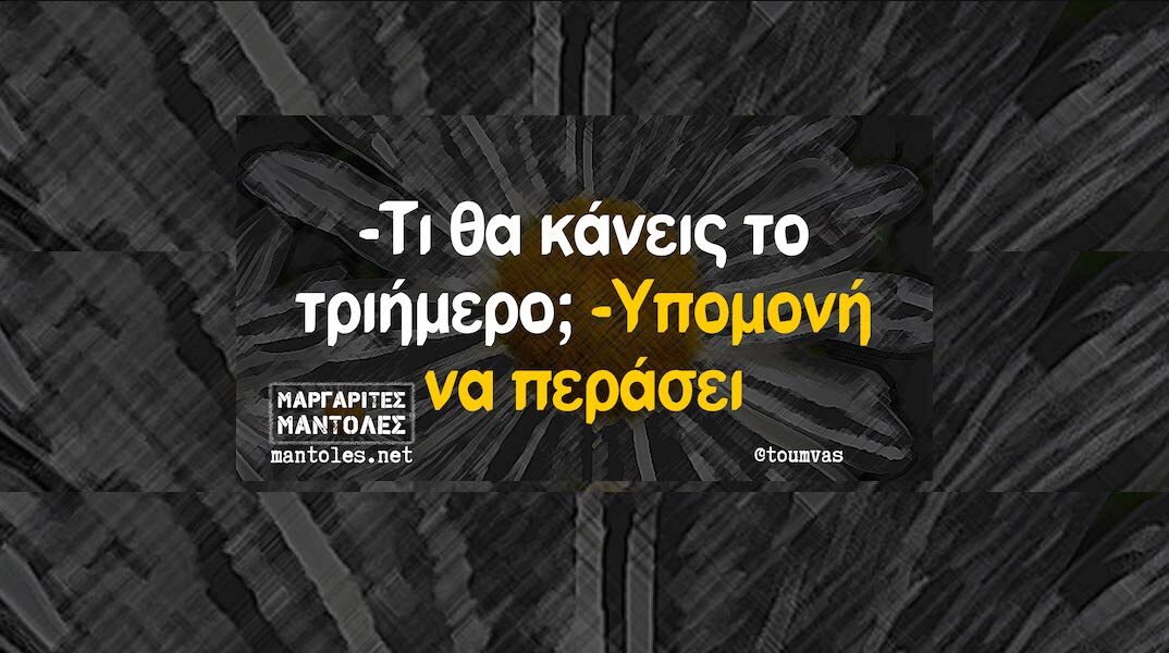 Αστεία memes, ατάκες, YOLO βίντεο, viral, αστεία video στο TikTok που ανέβηκαν στο διαδίκτυο και μας έκαναν να γελάσουμε.