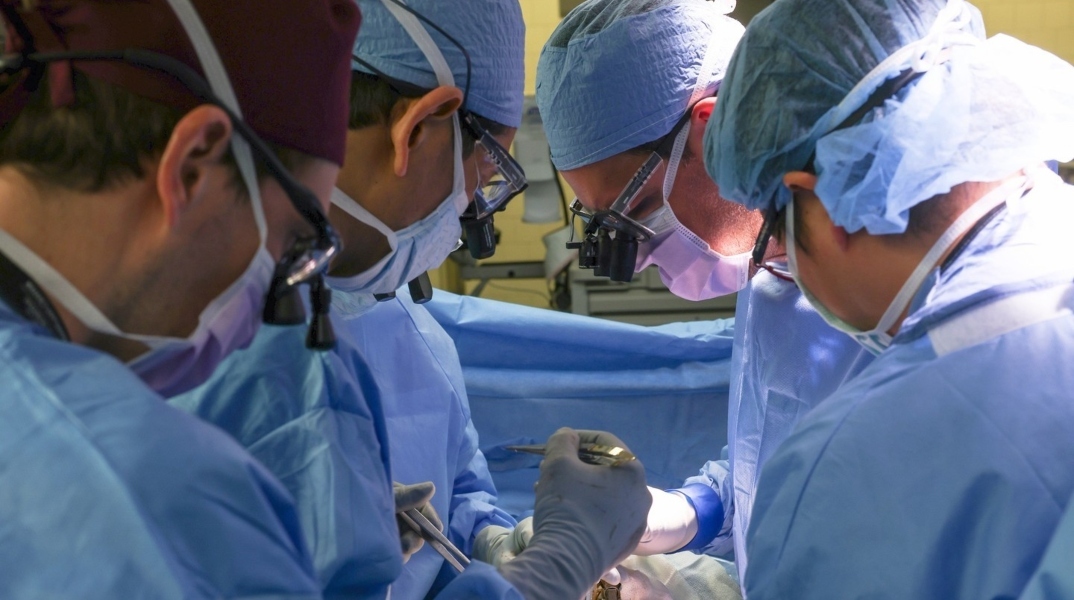 ΗΠΑ: Η πρώτη μεταμόσχευση νεφρού γενετικά τροποποιημένου χοίρου σε ζώντα ασθενή