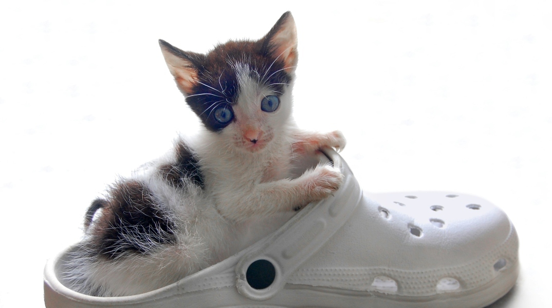 Εορτολόγιο: Σήμερα 23 Μαρτίου 2024 γιορτάζει…