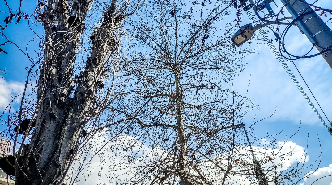 Γενικά αίθριος θα είναι ο καιρός σήμερα Παρασκευή, με αραιές νεφώσεις από το απόγευμα