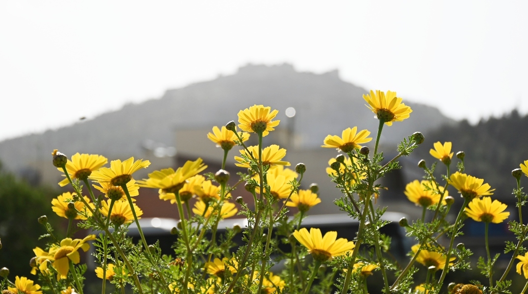 Γενικά αίθριος θα είναι ο καιρός αύριο Κυριακή, με αραιές νεφώσεις κατά περιόδους