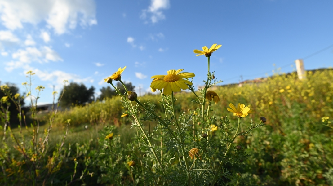 Γενικά αίθριος θα είναι ο καιρός αύριο Τετάρτη με αραιές νεφώσεις