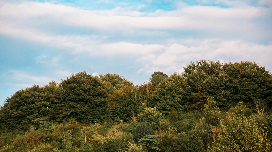 Γενικά αίθριος θα είναι ο καιρός σήμερα Παρασκευή με πιθανότητα τοπικών βροχών