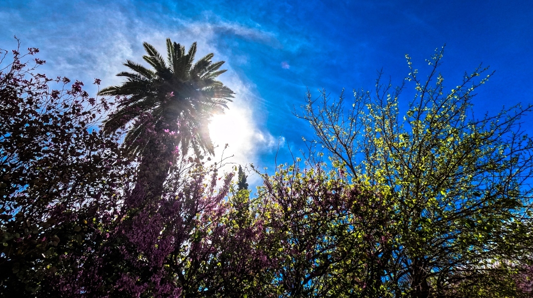 Αίθριος ο καιρός αύριο Σάββατο με λίγες νεφώσεις - Χαλάει από την Κυριακή