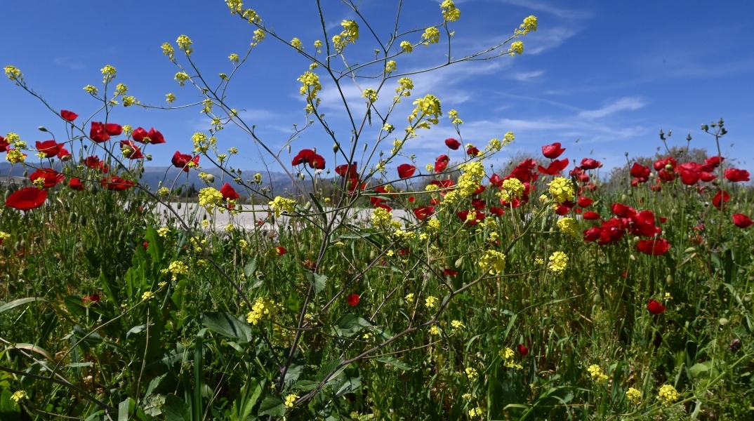 Αίθριος ο καιρός σήμερα Σάββατο με λίγες νεφώσεις - Χαλάει από την Κυριακή