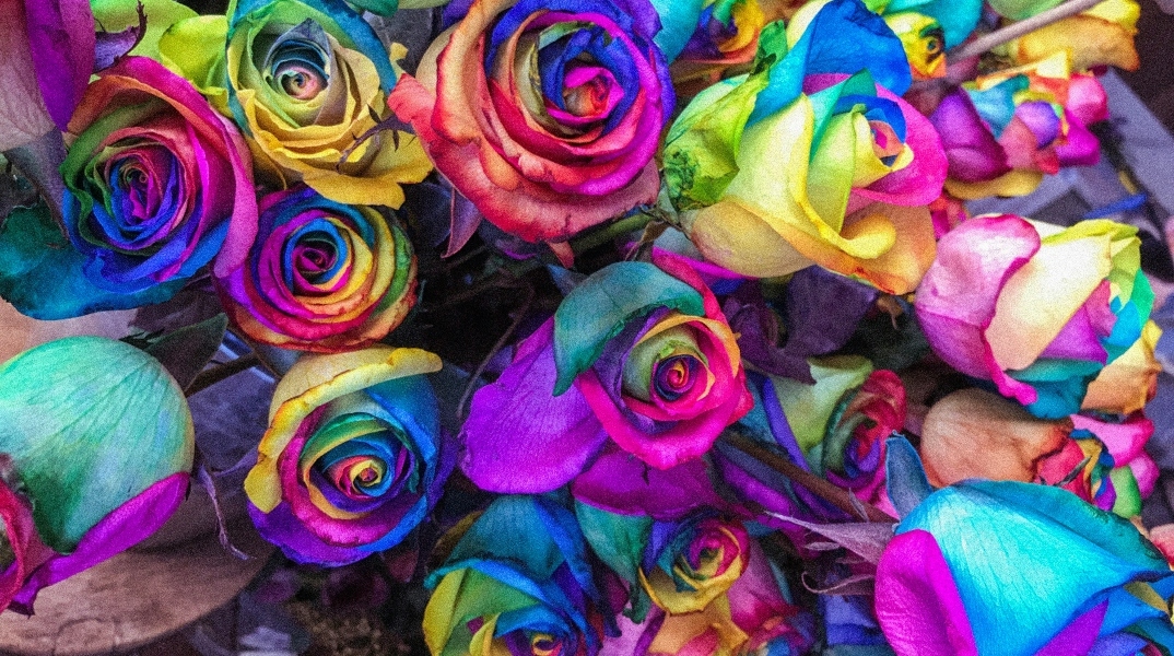 Εορτολόγιο: Σήμερα 6 Απριλίου 2024 γιορτάζει...