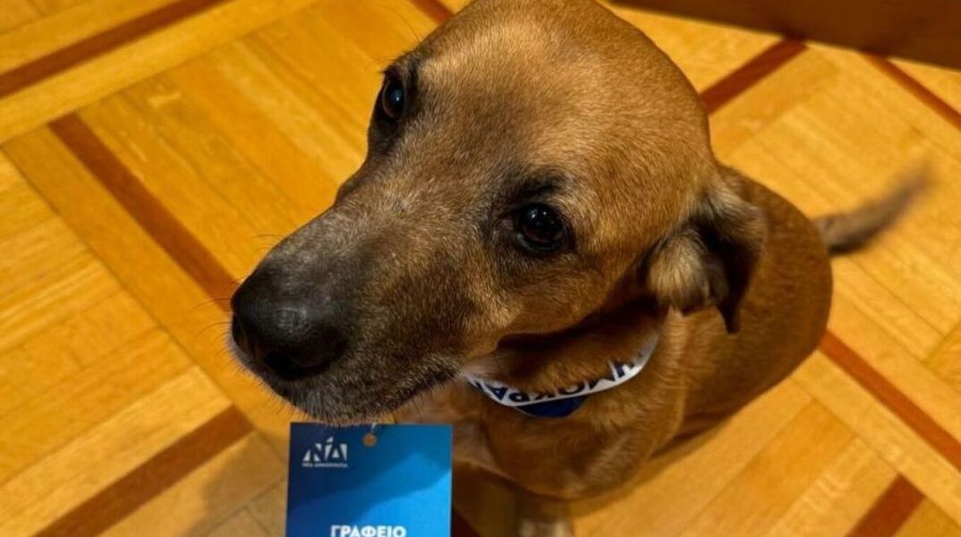 Πίνατ: Με διαπίστευση για το 15ο Συνέδριο της Νέας Δημοκρατίας