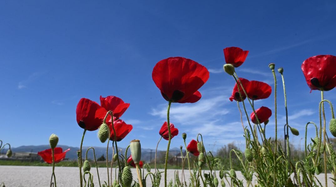 Kαιρός: Έφτασε τους 30 °C η θερμοκρασία στα ηπειρωτικά