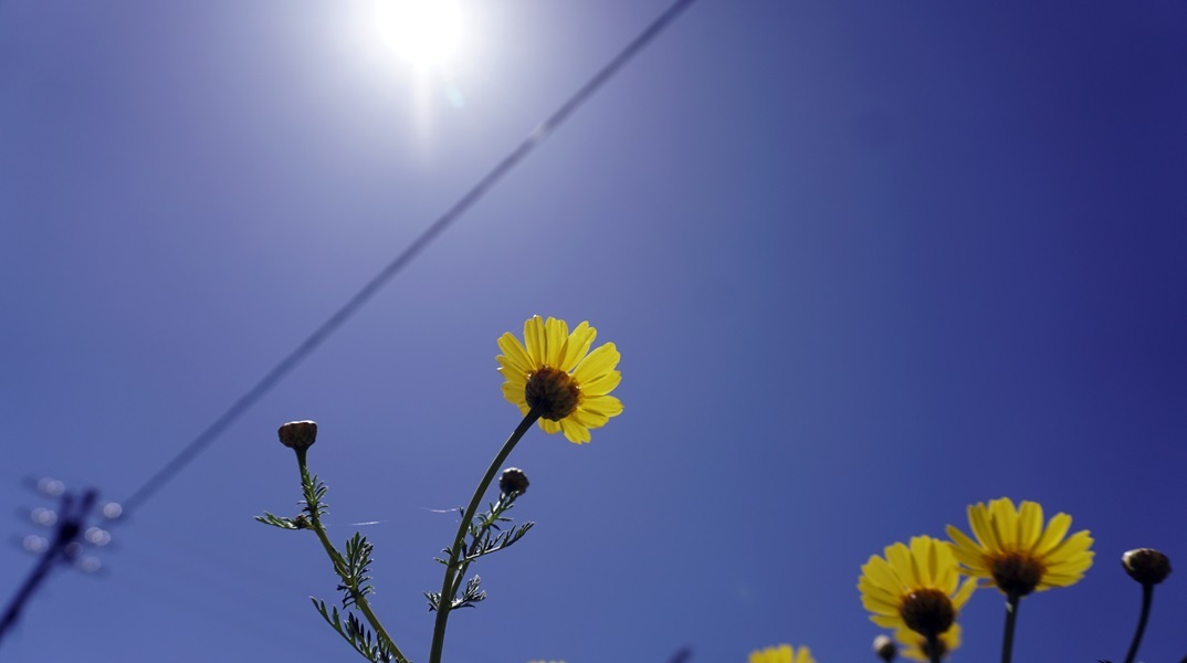 Συνεχίζονται την Πέμπτη οι υψηλές θερμοκρασίες στη χώρα - Πού θα χτυπήσει «κόκκινο» ο υδράργυρος 