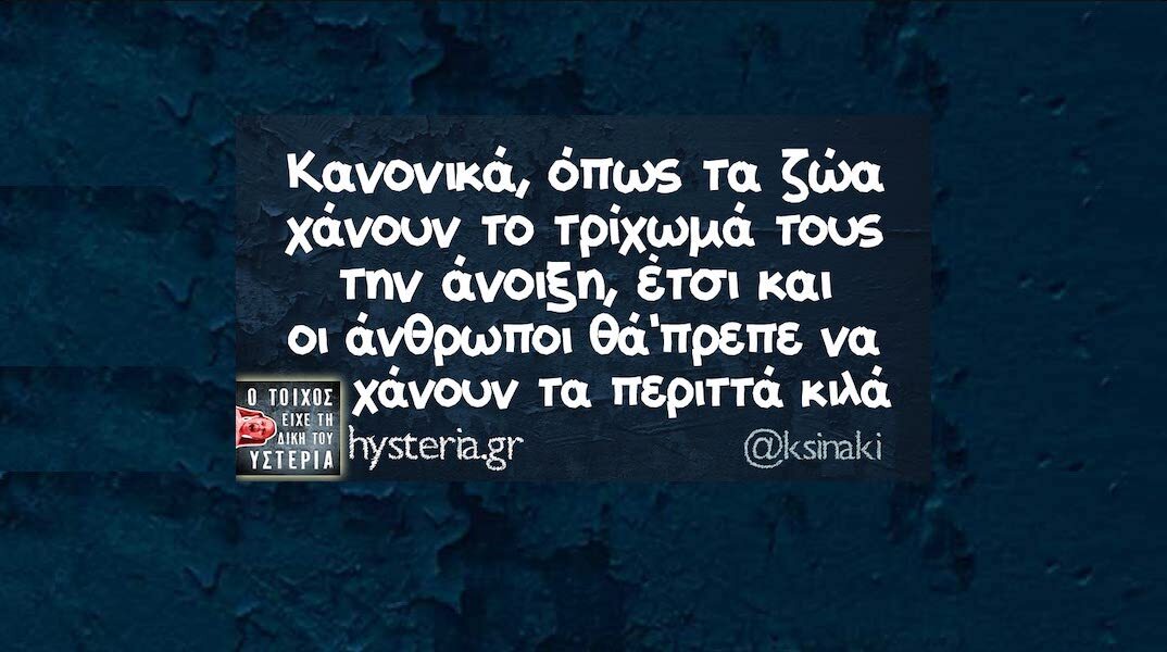 Αστεία memes, ατάκες, YOLO βίντεο, viral, αστεία video στο TikTok που ανέβηκαν στο διαδίκτυο και μας έκαναν να γελάσουμε.