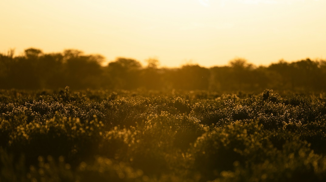 Απειλητικά ανεβαίνει η θερμοκρασία χρόνο με το χρόνο στην Ευρώπη