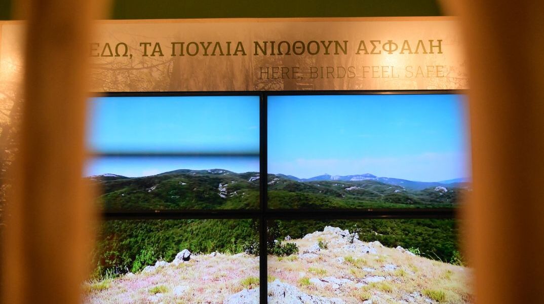 Έβρος: Νεκρά 47 ζώα από δηλητηριασμένα δολώματα