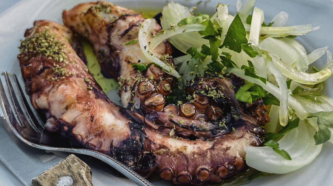 Αγκυροβόλι: Για φρέσκο ψάρι και ουζάρες στον Ποταμό της Επανομής 