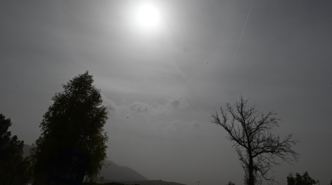 Δέντρα, ηλίος, σύννεφα