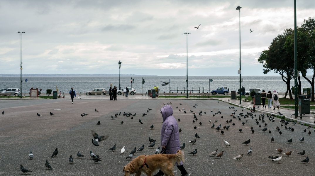 Γυναικα με σκυλο σε παραλια